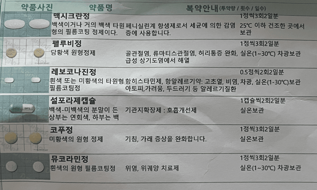 1번 째 사진