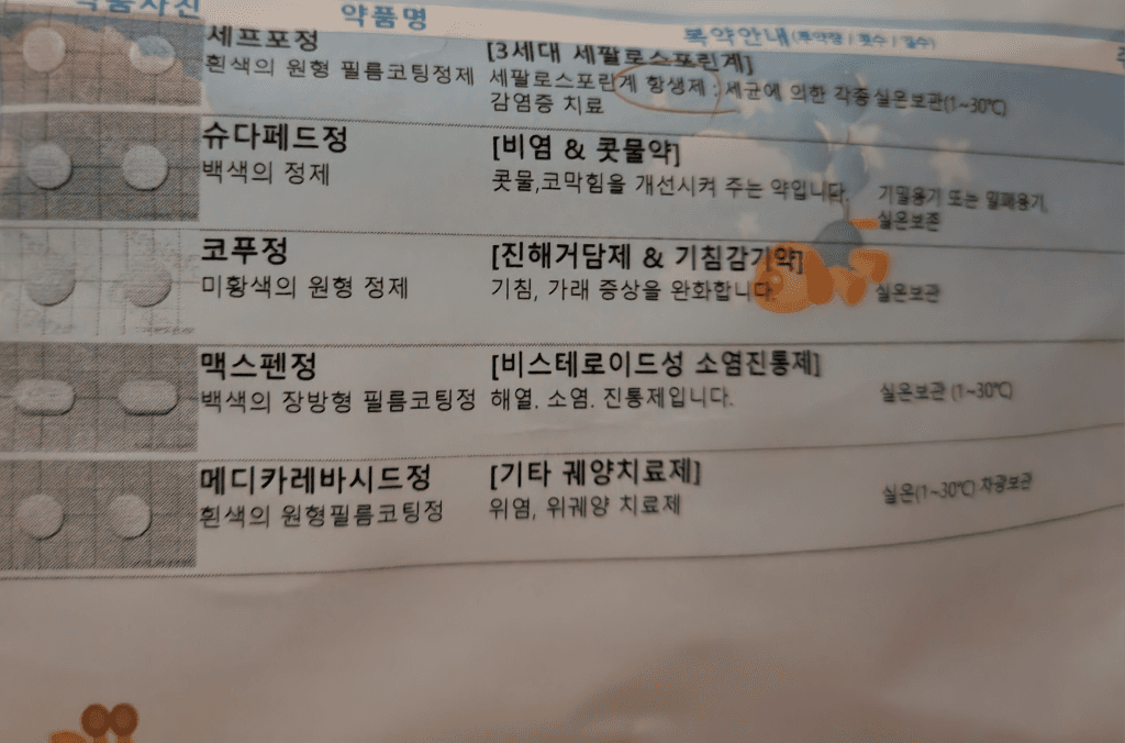 2번 째 사진