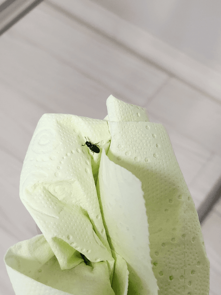 2번 째 사진