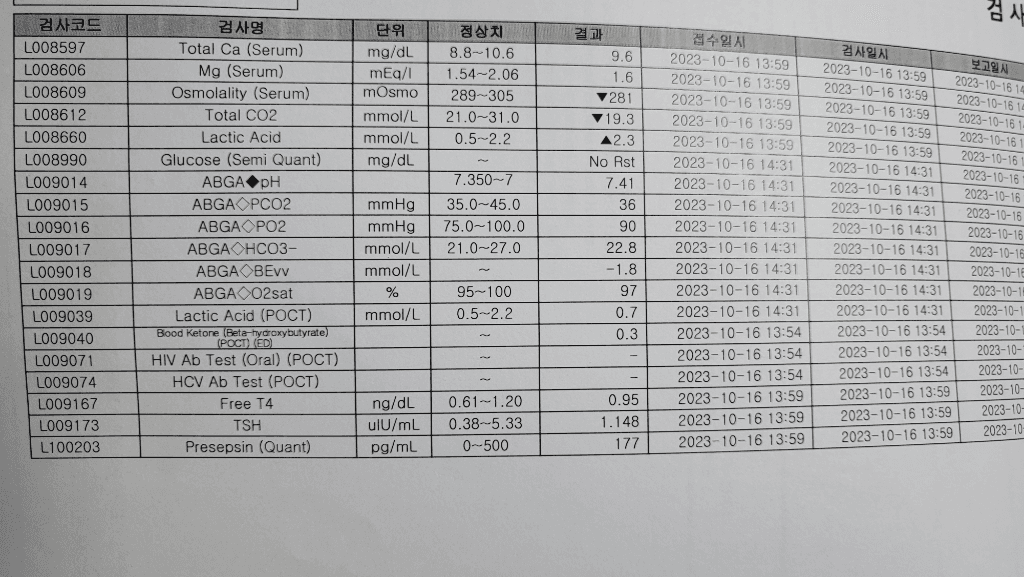 3번 째 사진