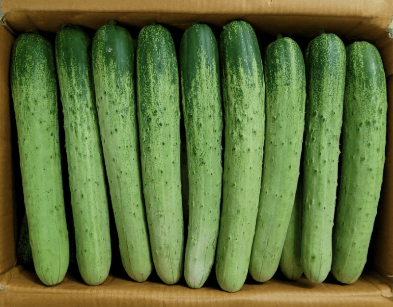 5번 째 사진