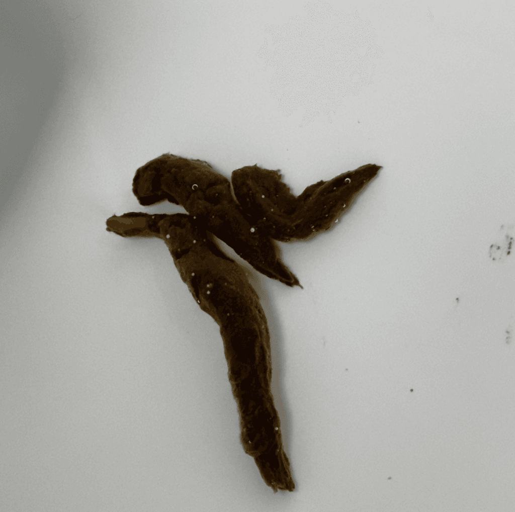 2번 째 사진