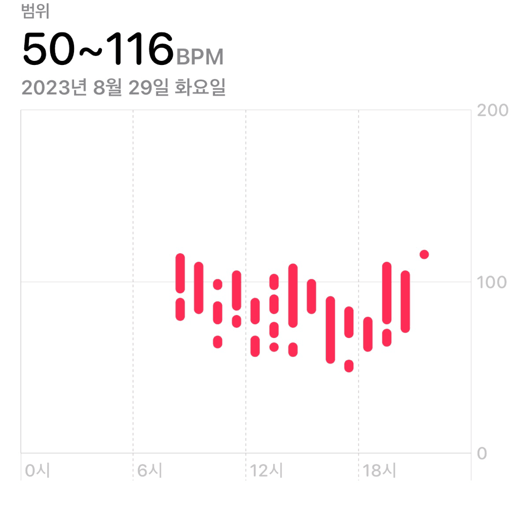 6번 째 사진