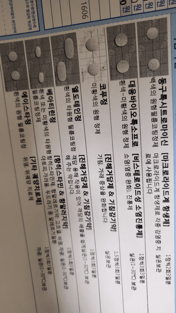 1번 째 사진