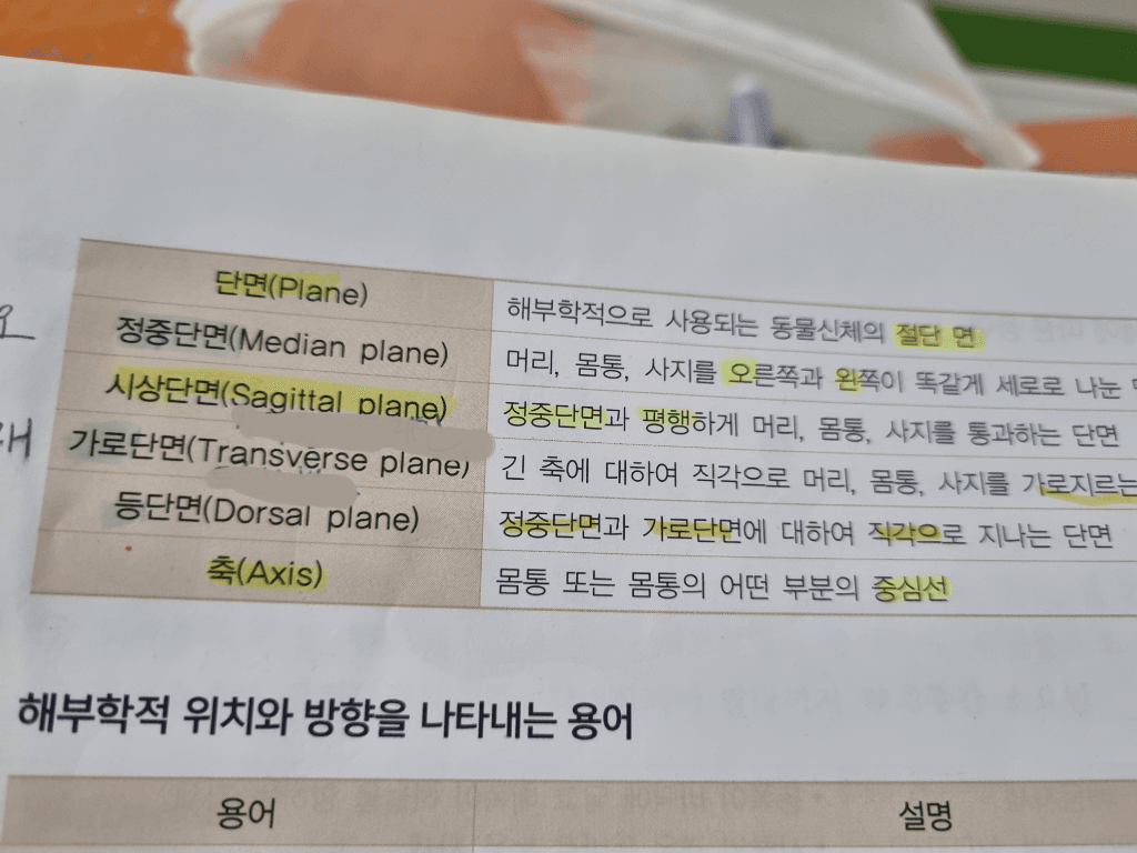2번 째 사진