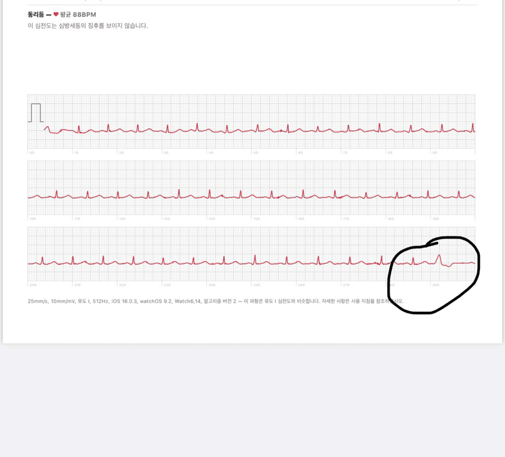 3번 째 사진