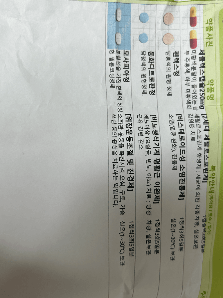 1번 째 사진