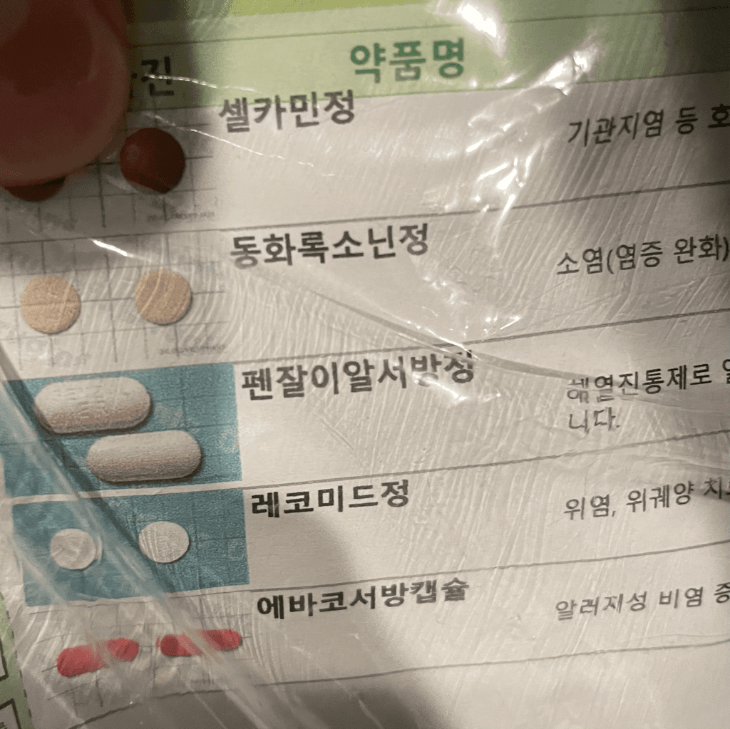 1번 째 사진