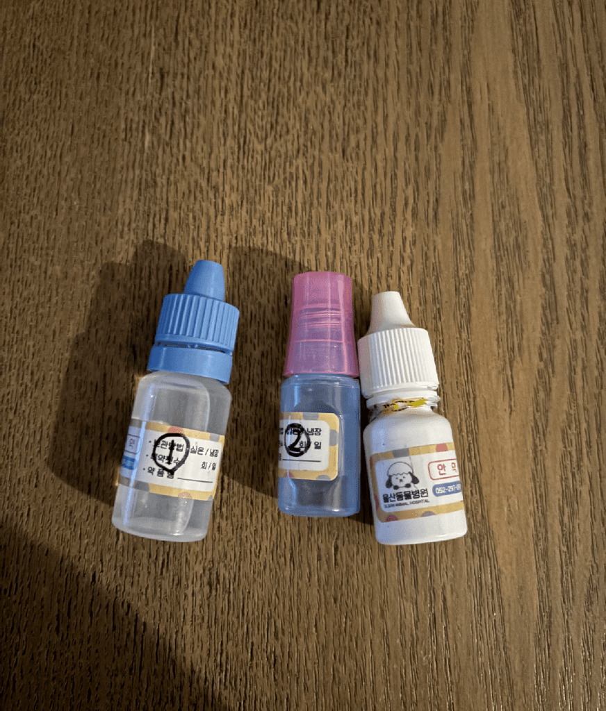 4번 째 사진