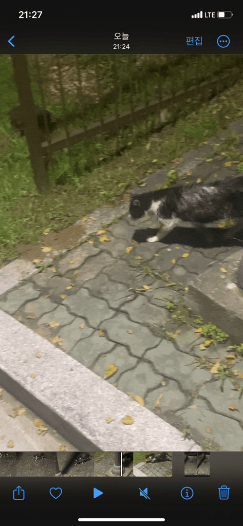 3번 째 사진