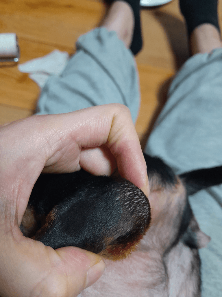 2번 째 사진