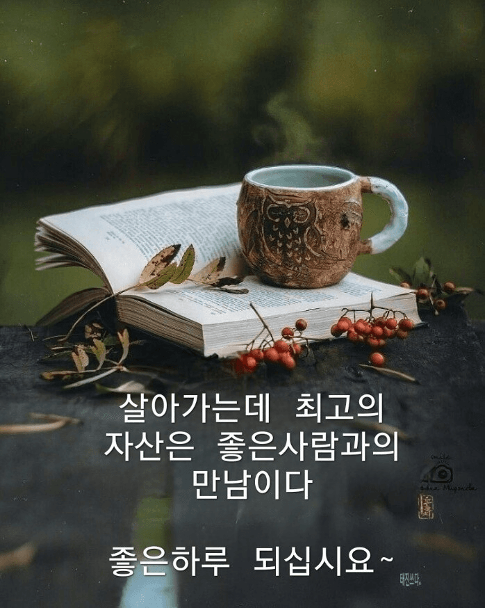 1번 째 사진