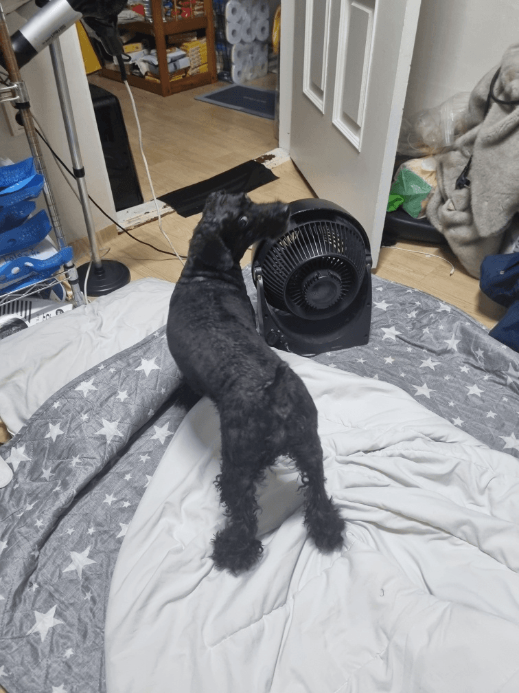 4번 째 사진