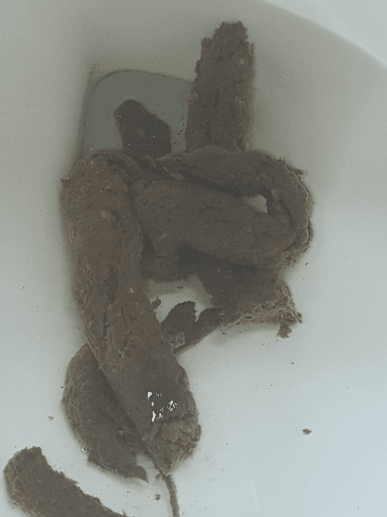 2번 째 사진