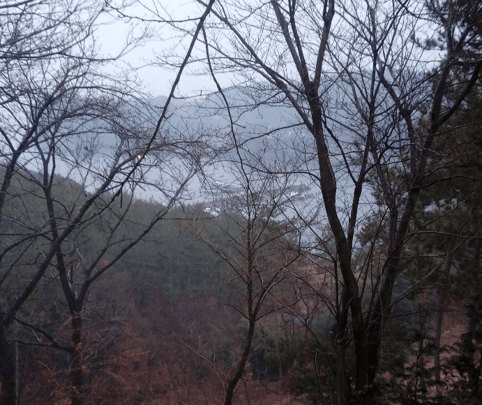 1번 째 사진