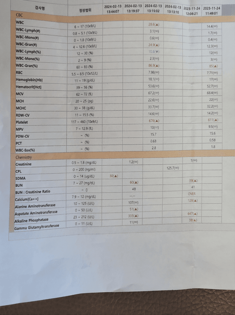 2번 째 사진