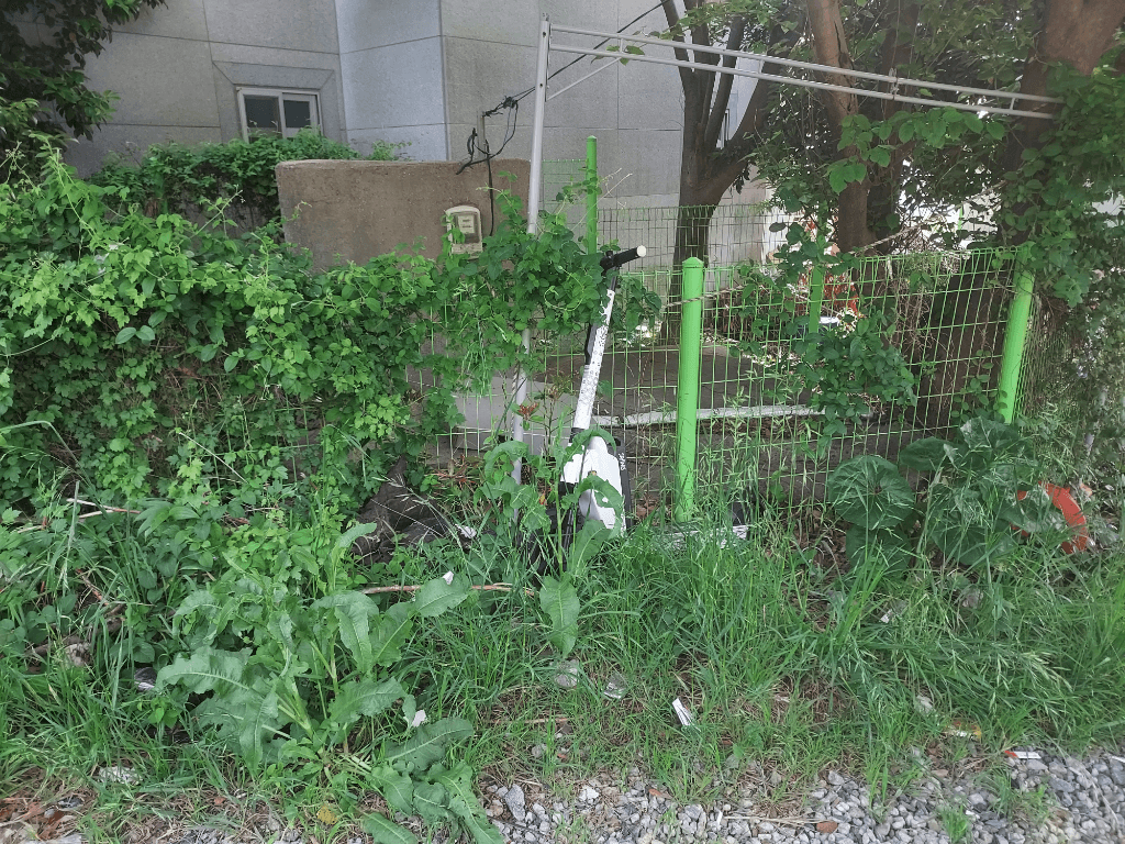 1번 째 사진
