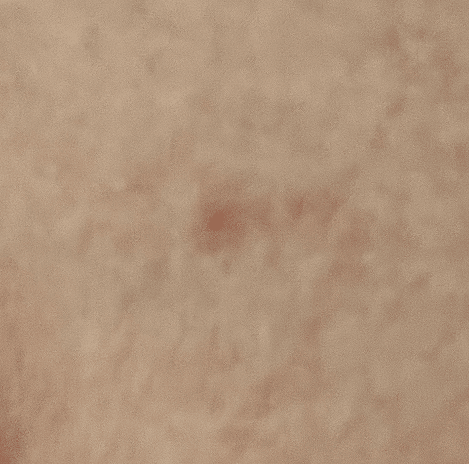 5번 째 사진