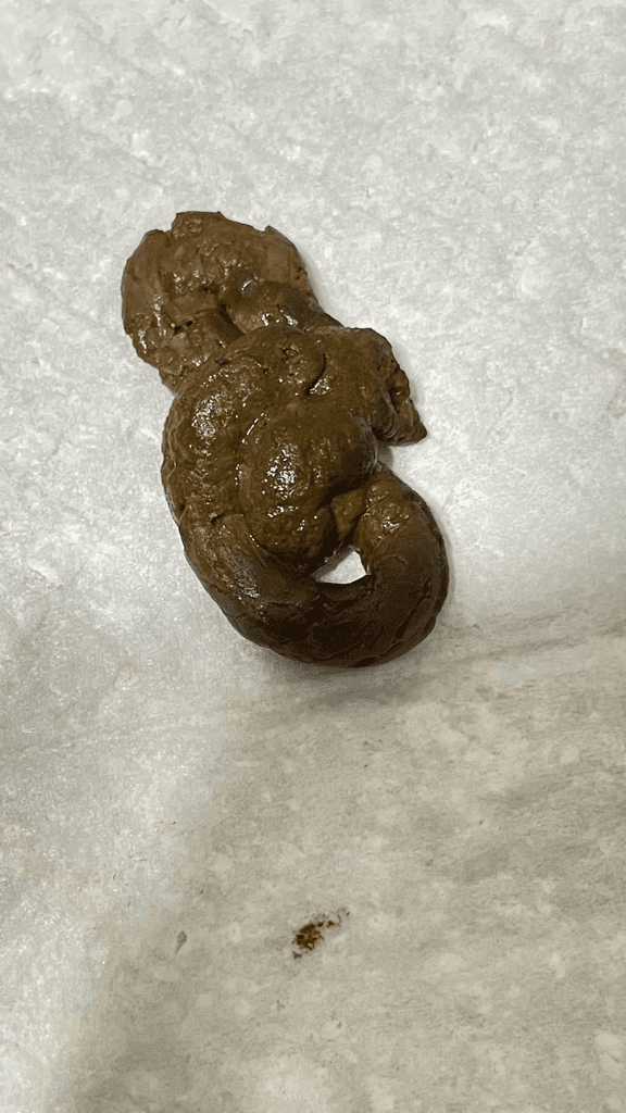 2번 째 사진