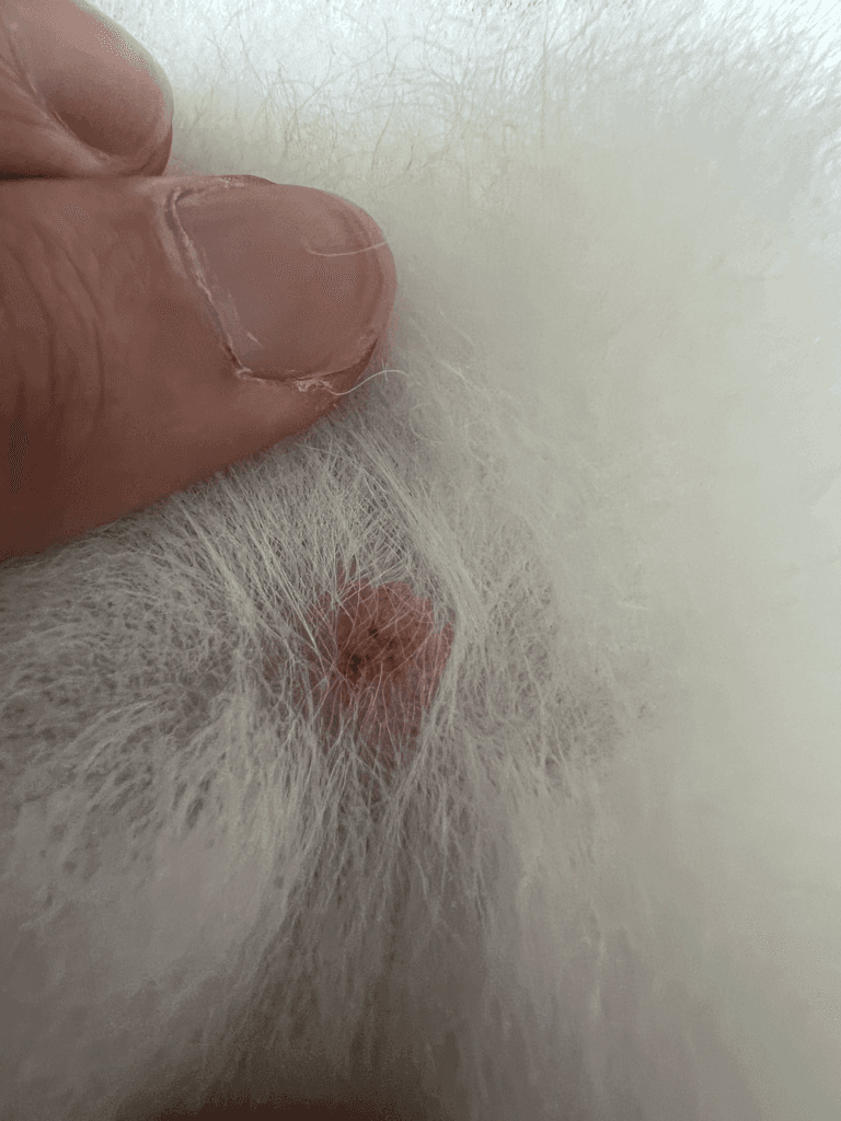 2번 째 사진