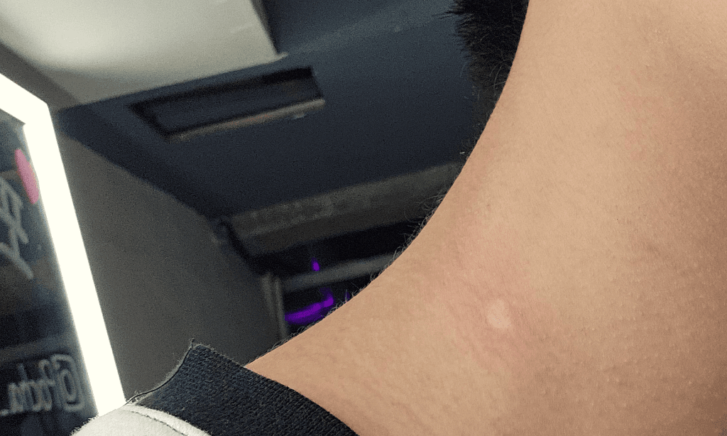 5번 째 사진