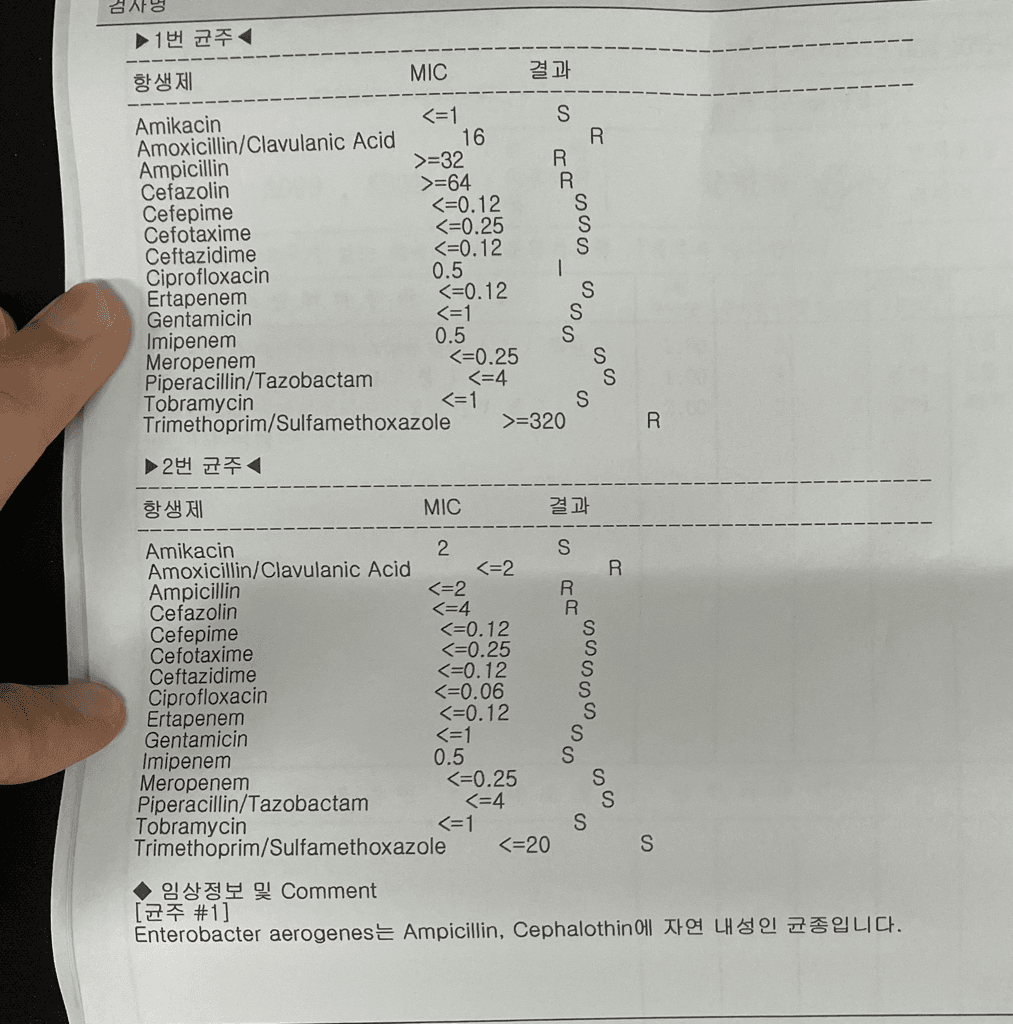 2번 째 사진