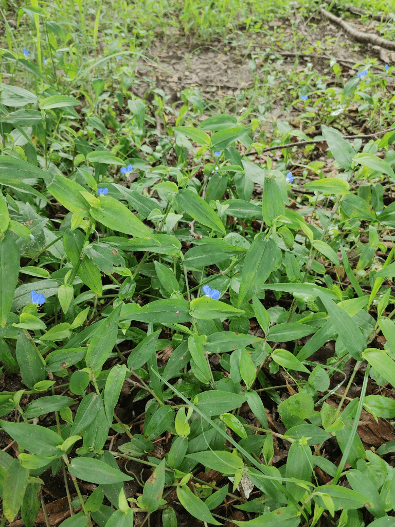 3번 째 사진