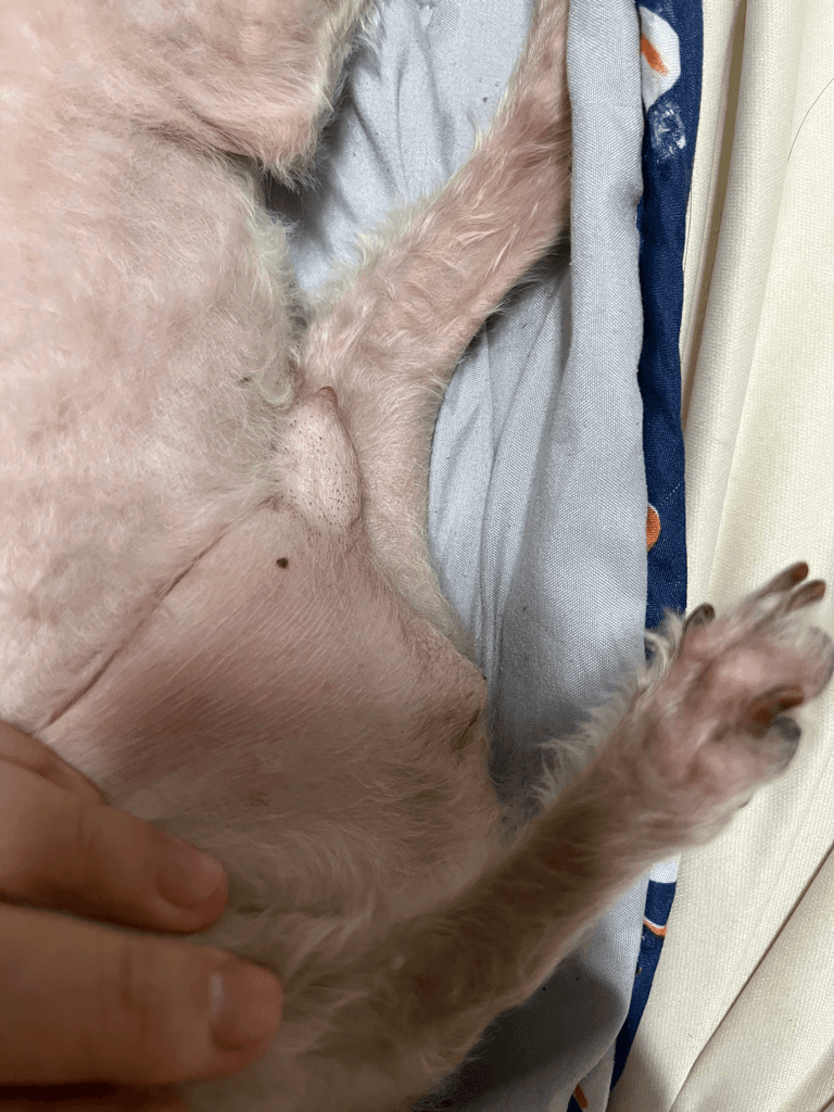 2번 째 사진