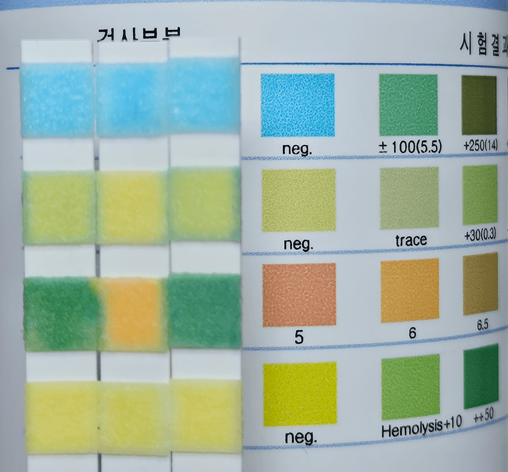 1번 째 사진