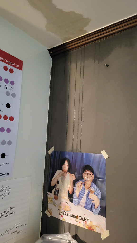 11번 째 사진