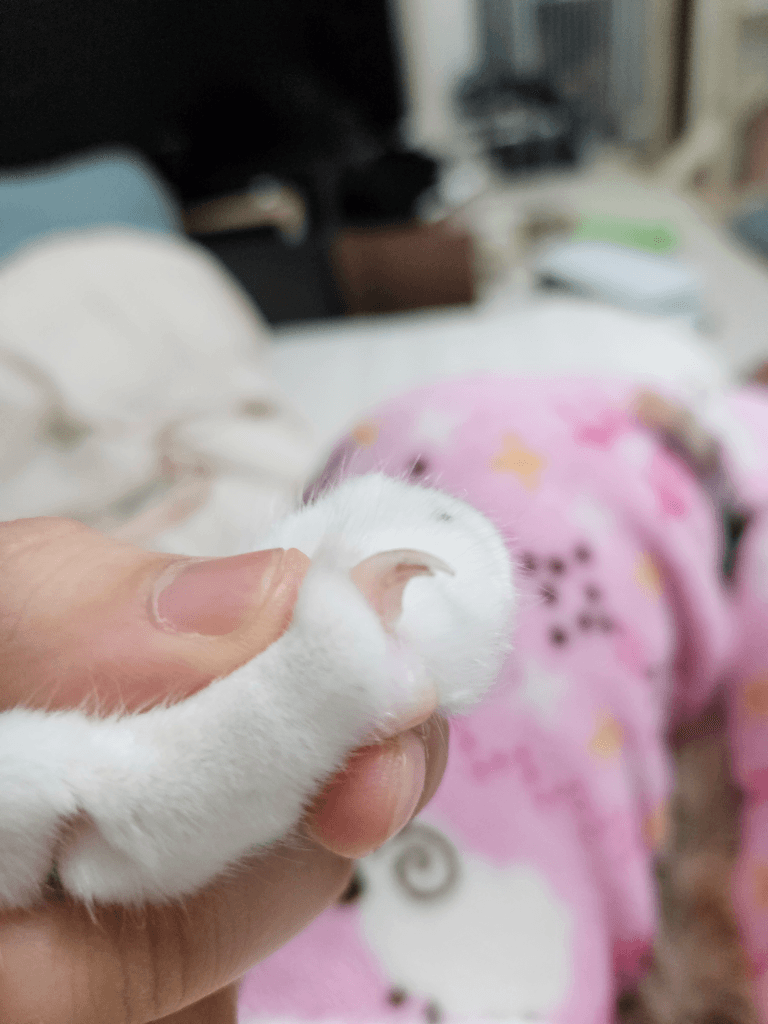 3번 째 사진