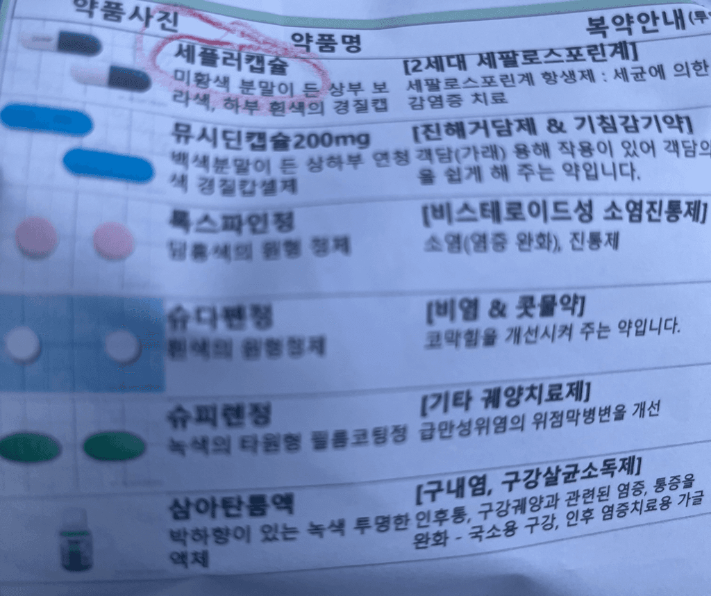 1번 째 사진