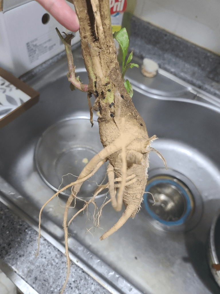 1번 째 사진