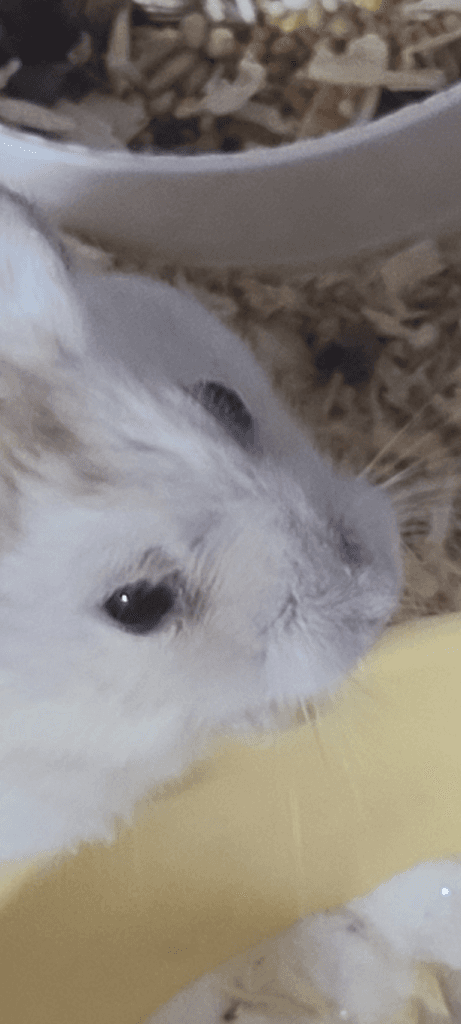 2번 째 사진