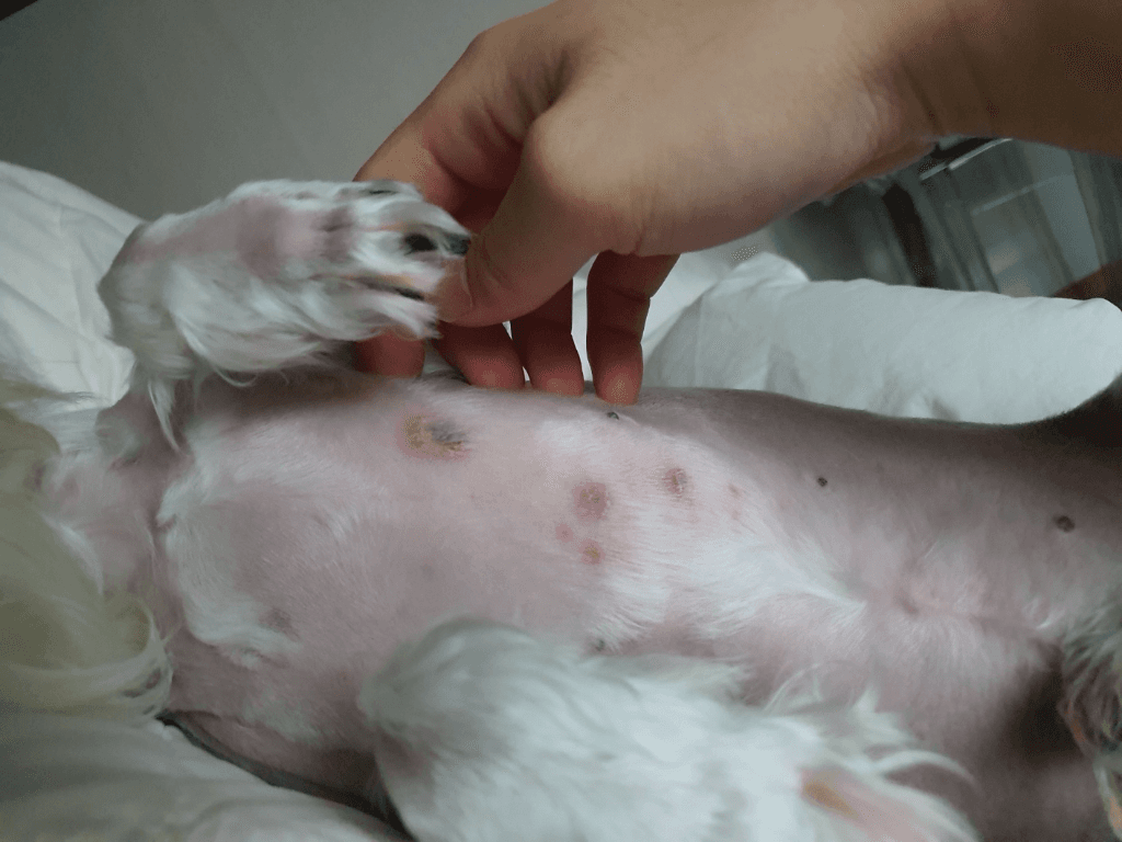 1번 째 사진