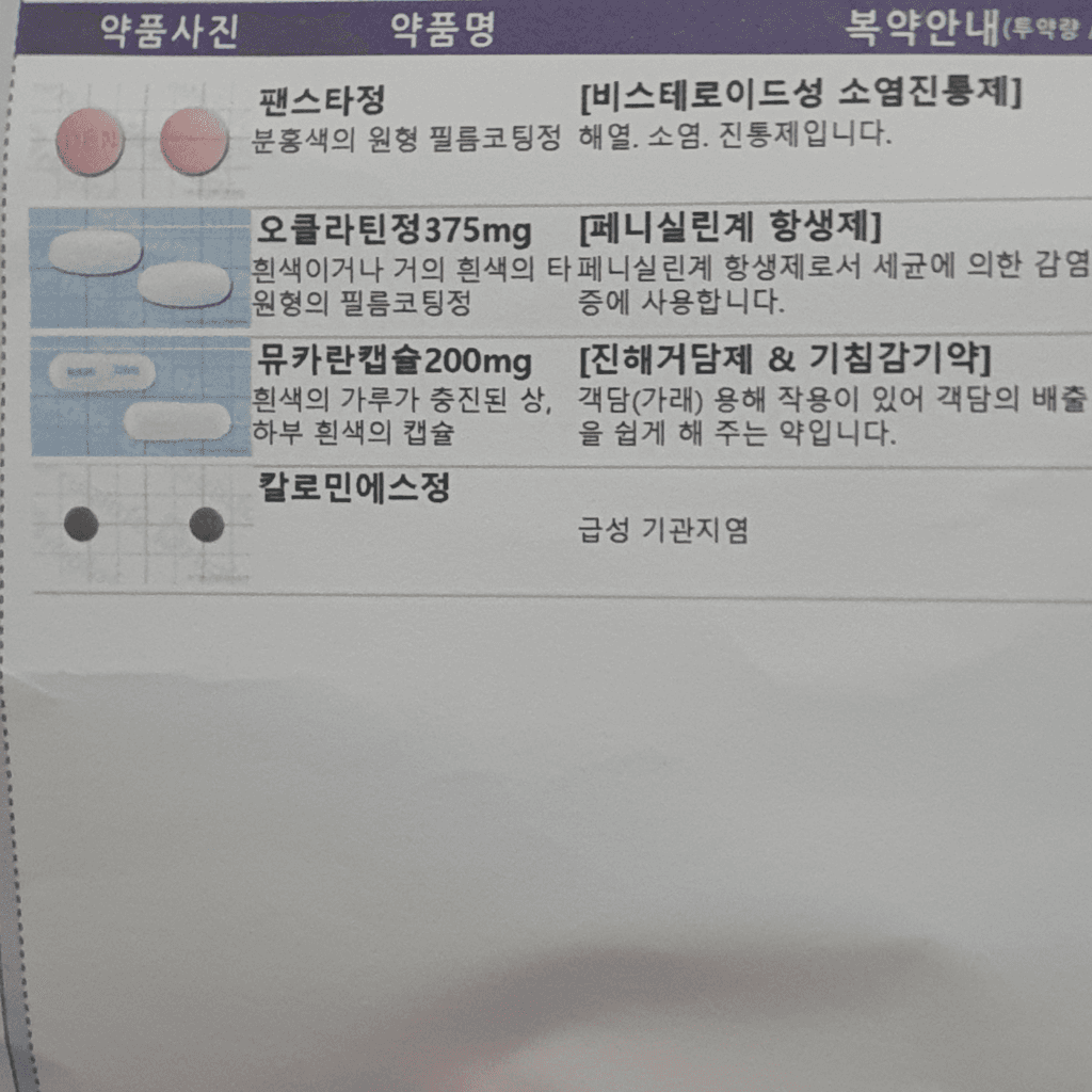 2번 째 사진