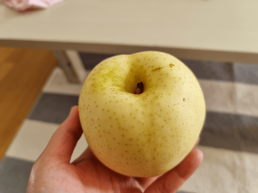 1번 째 사진