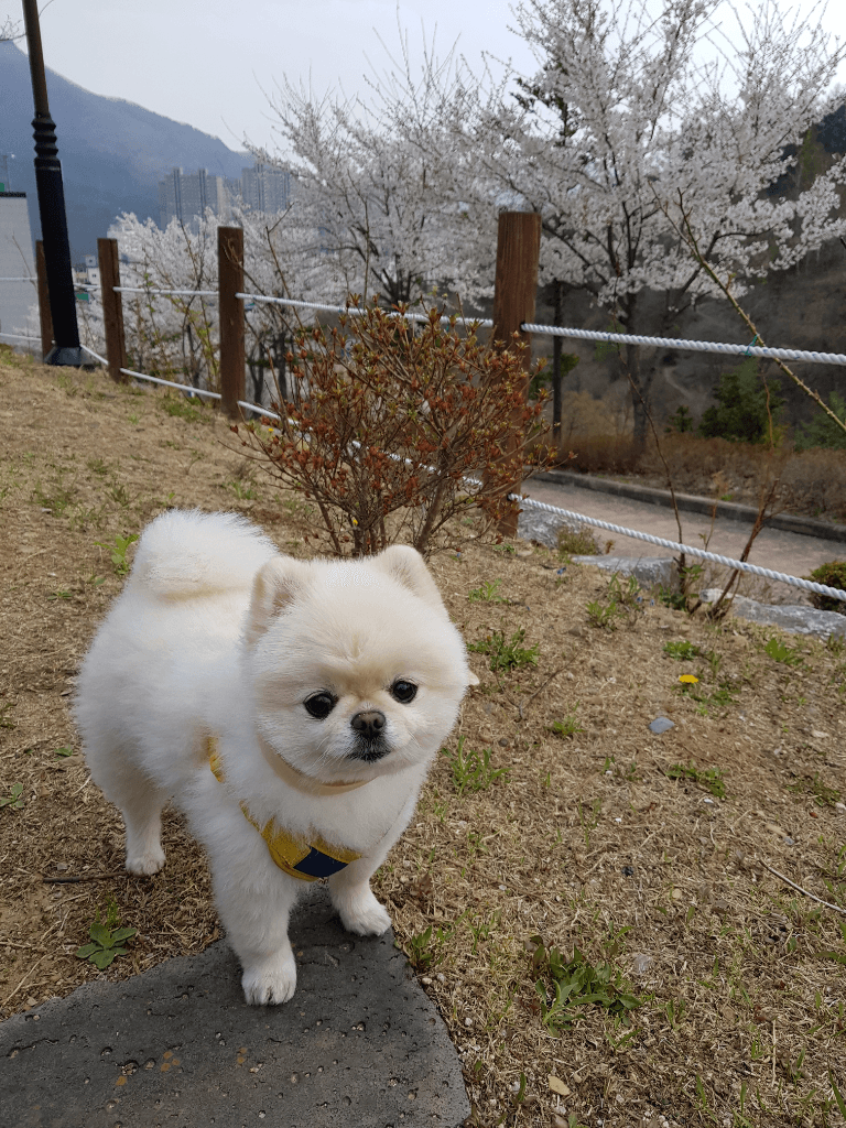 1번 째 사진