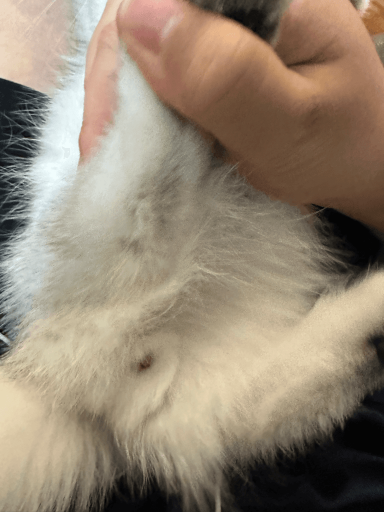 2번 째 사진