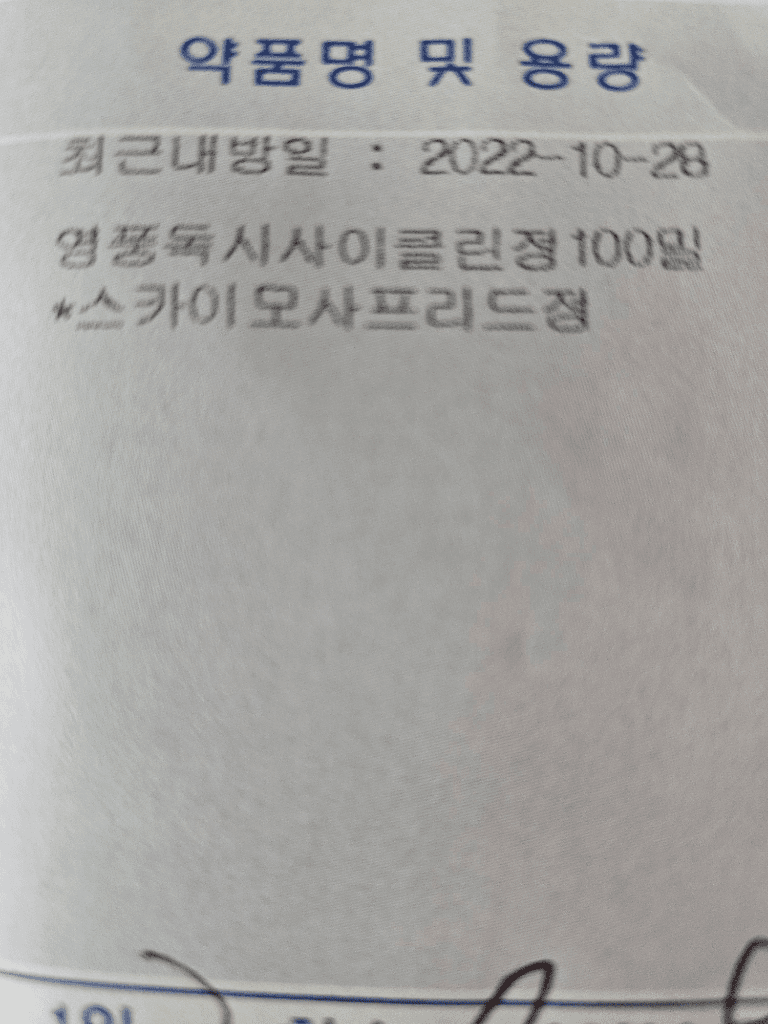 3번 째 사진