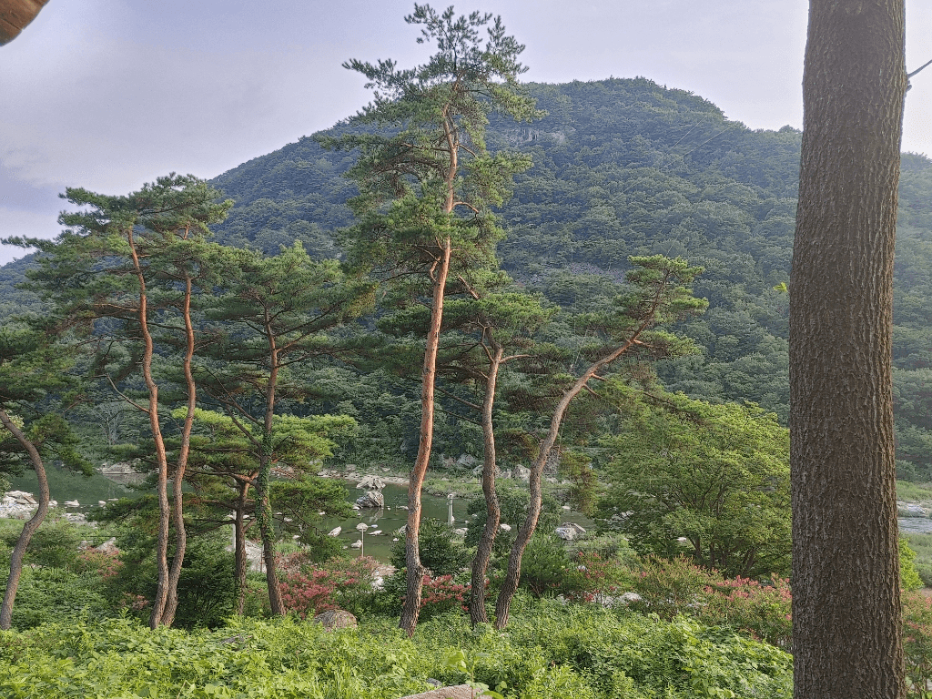 1번 째 사진