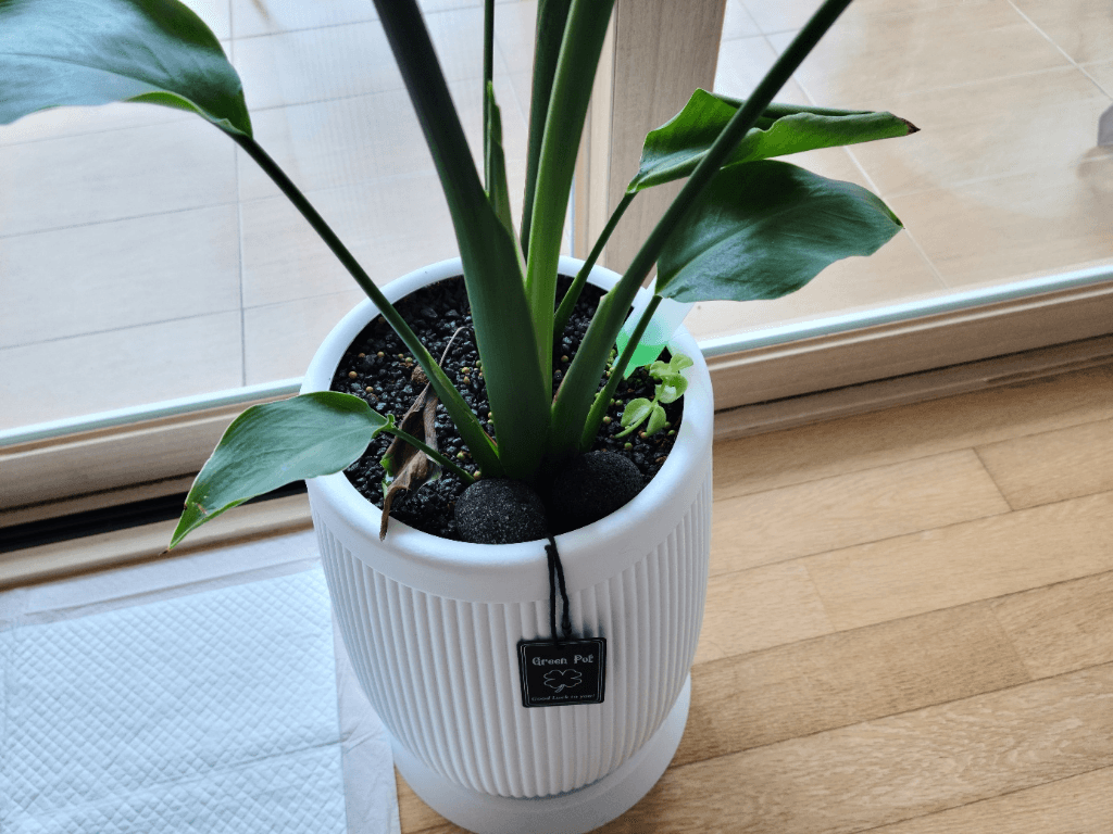 1번 째 사진