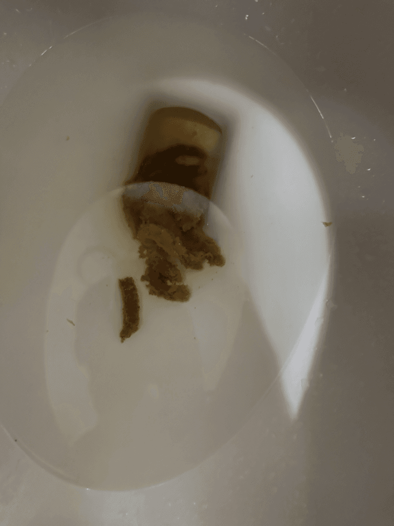 2번 째 사진