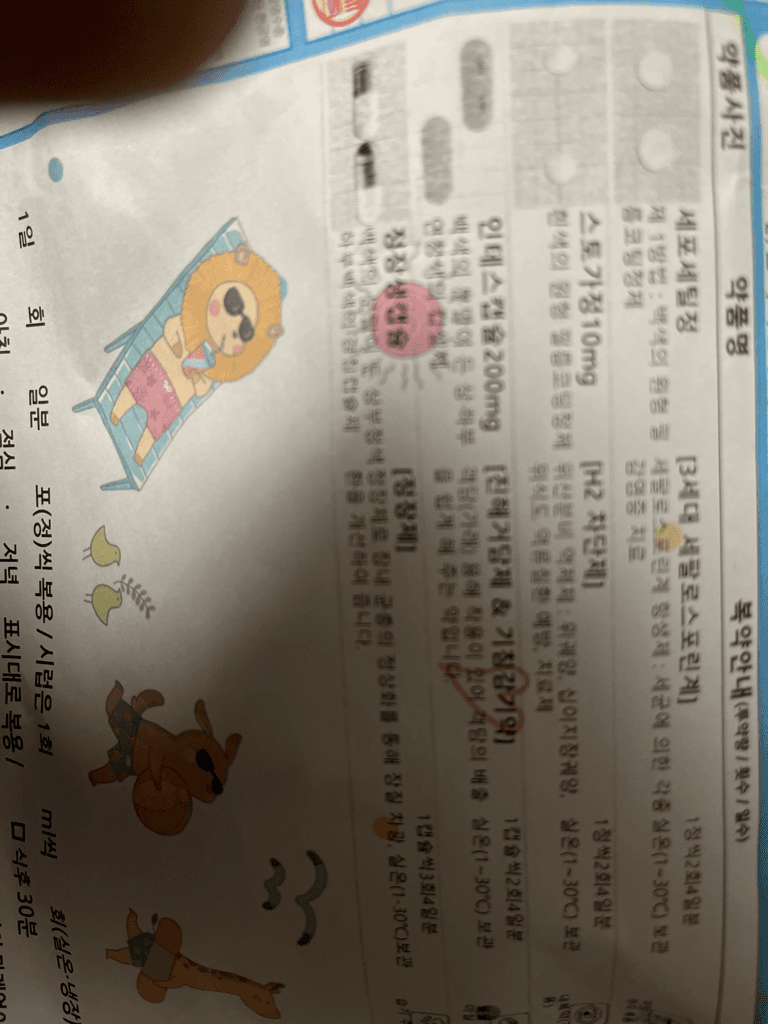 1번 째 사진