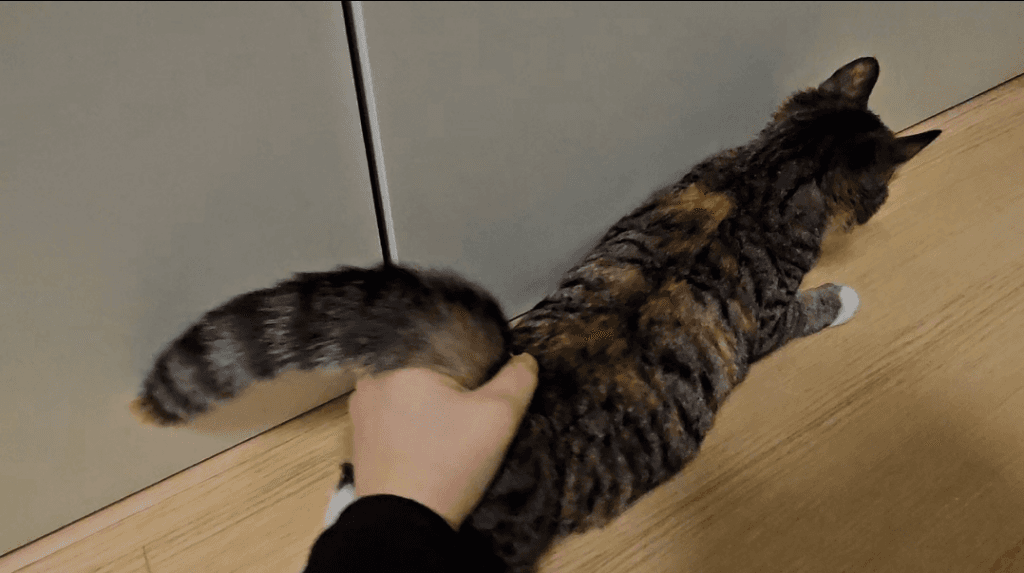 2번 째 사진