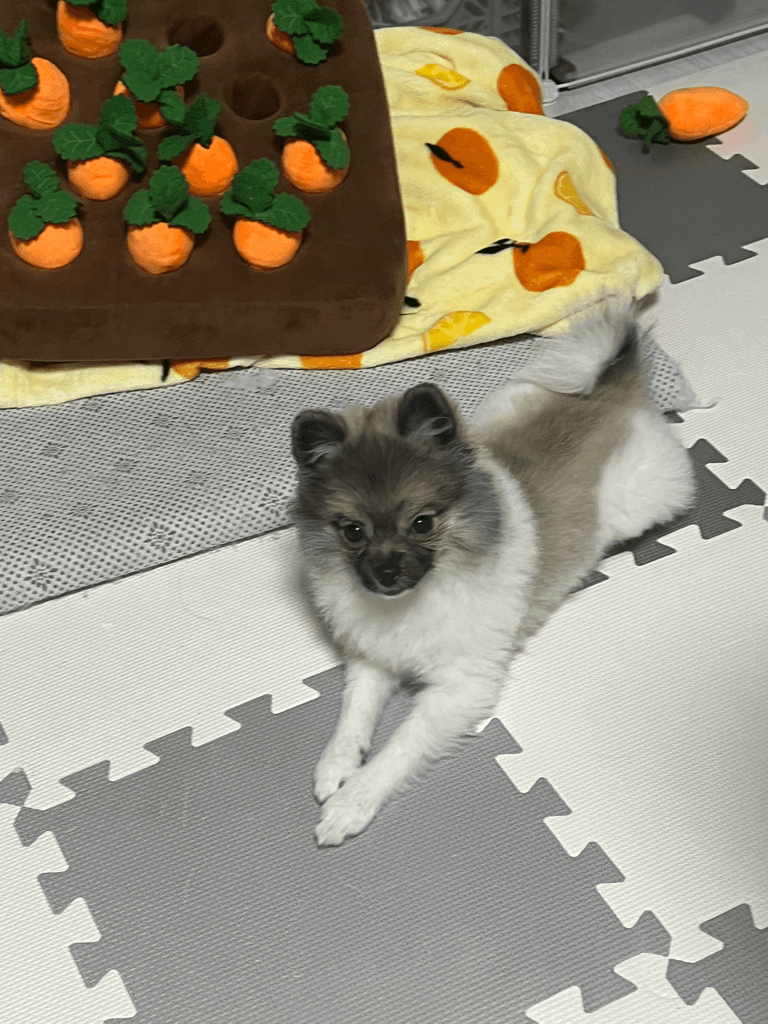 1번 째 사진