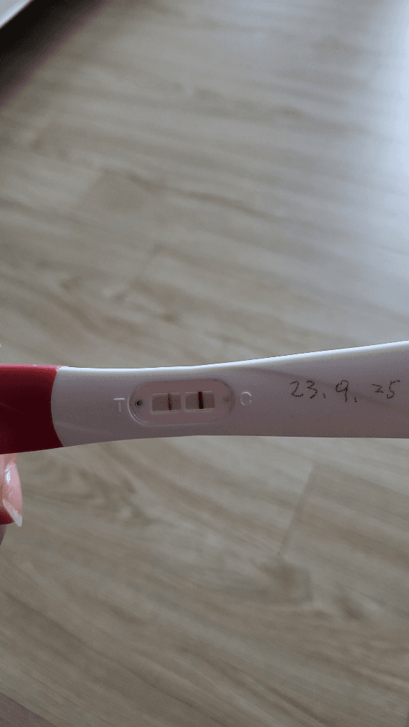 2번 째 사진