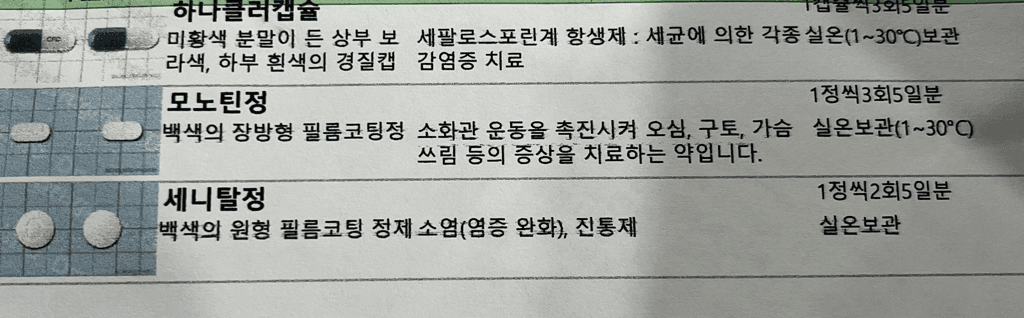 1번 째 사진