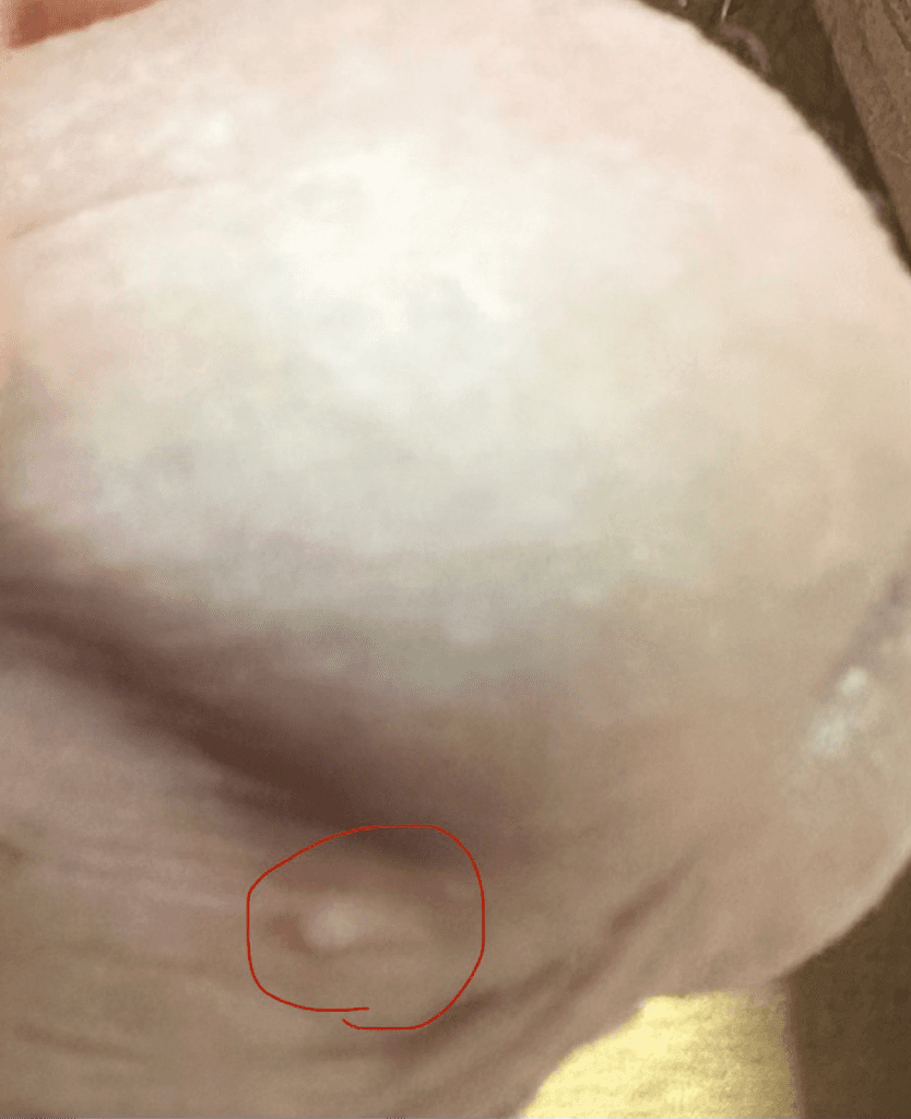 1번 째 사진