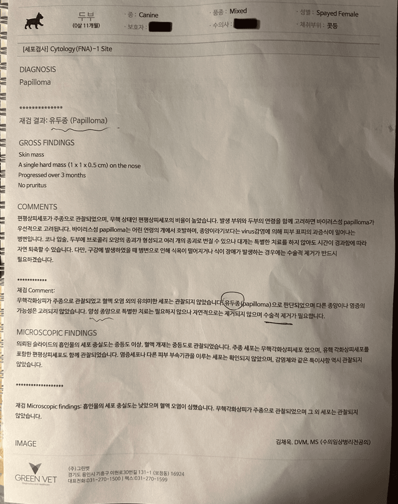 4번 째 사진